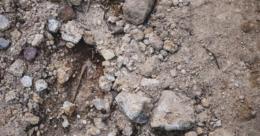 bentonit talajjavító: kertépítés homokos talaj megmentője